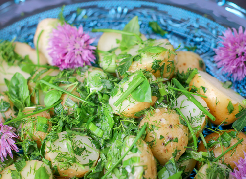 Herb Potato Salad