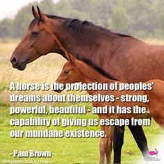 #cute #love #beautif