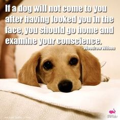 #cute #love #beautif