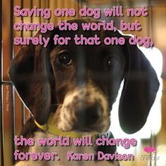 #cute #love #beautif