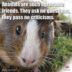 #cute #love #beautif