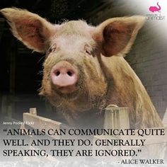 #cute #love #beautif