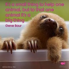 #cute #love #beautif