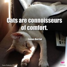 #cute #love #beautif