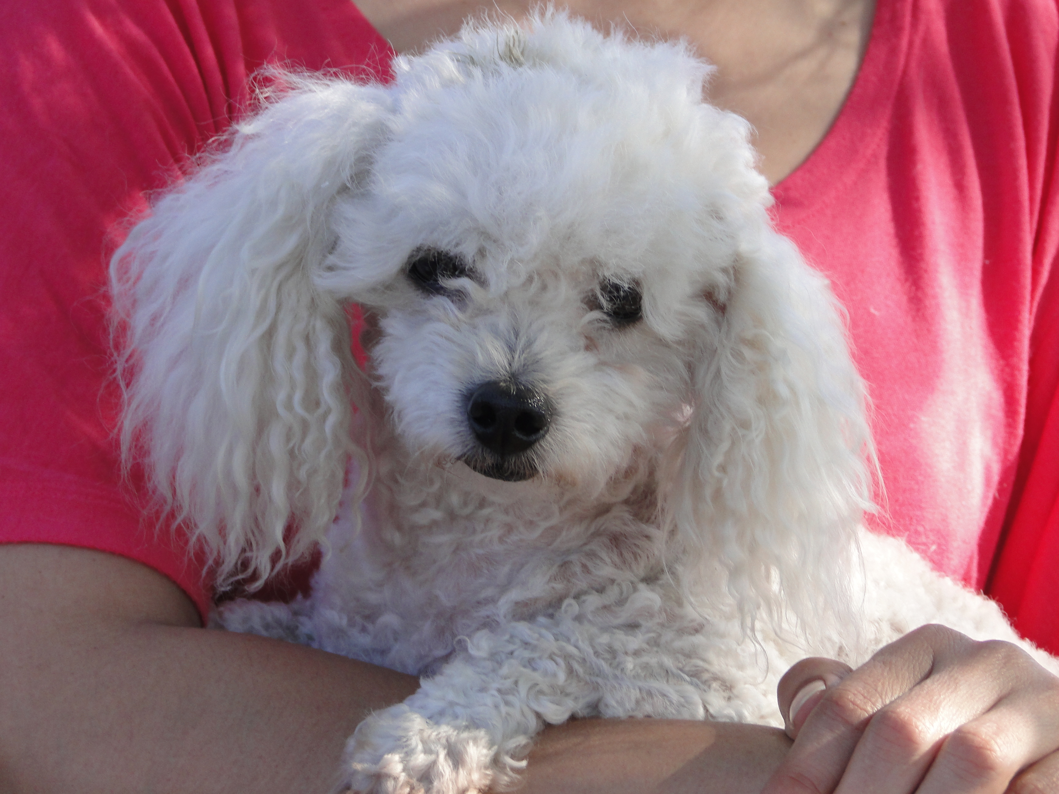 AFA's Compasion Campaign