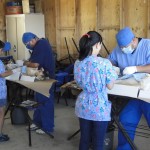 Compassion Across Borders