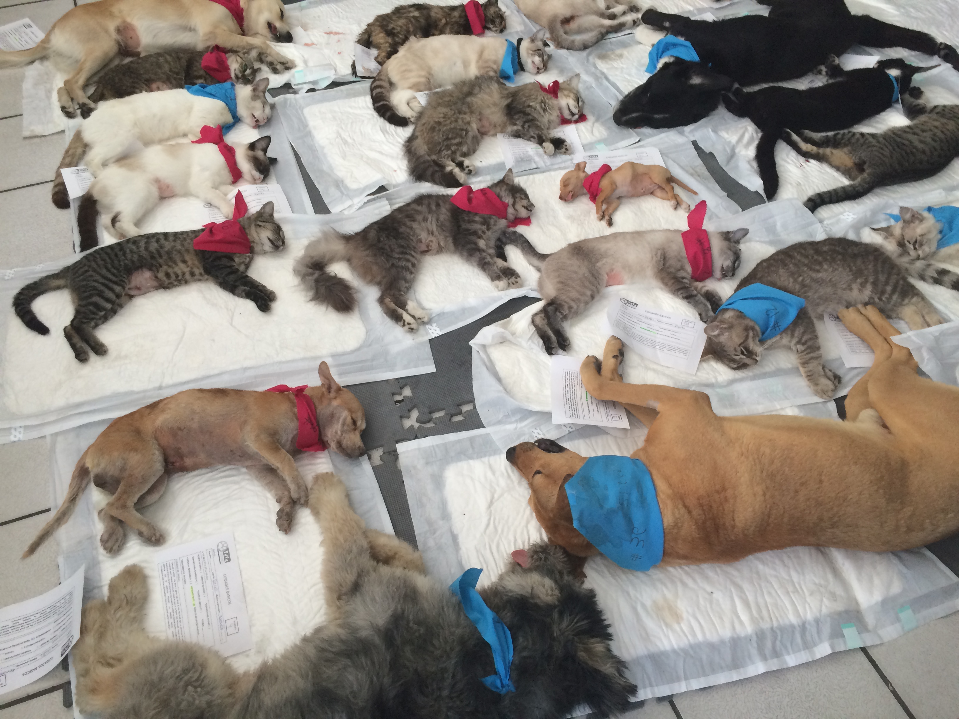 IMG_1353.2015-06-21_173929